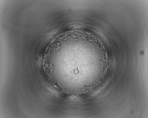 X0000090990189200708091526