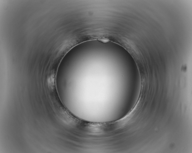 X0000090990190200708091526