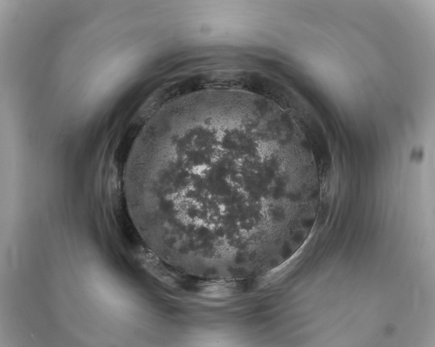 X0000090990191200708091527