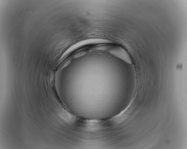 X0000090990192200708091527