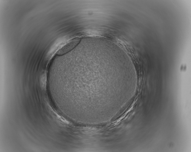 X0000090990194200708091526