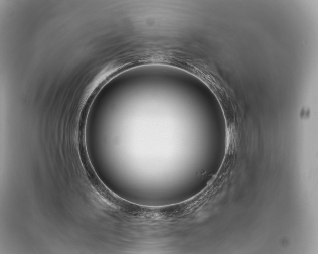 X0000090990195200708091526