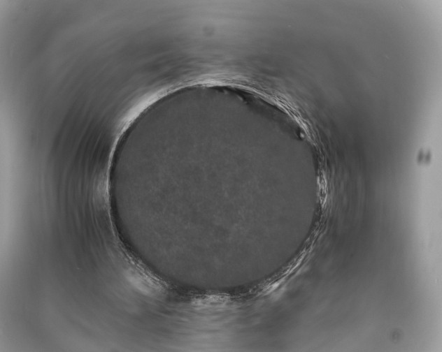 X0000090990196200708091526