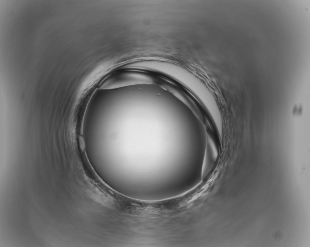 X0000090990197200708091526