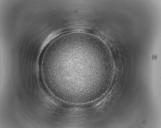 X0000090990198200708091526