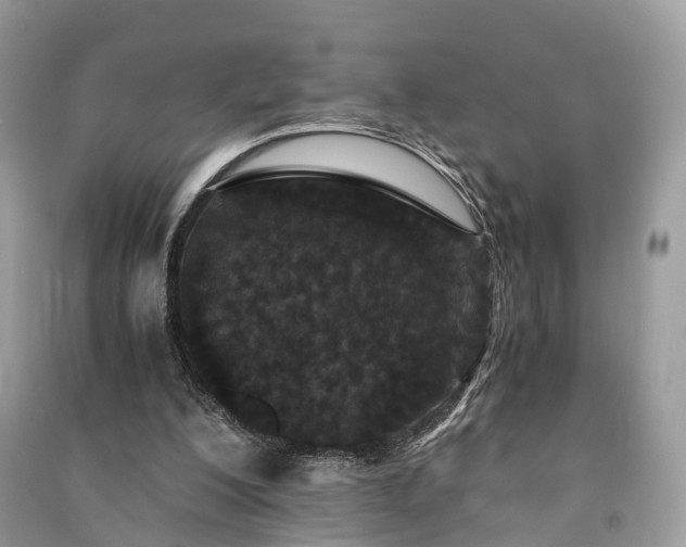 X0000090990200200708091526