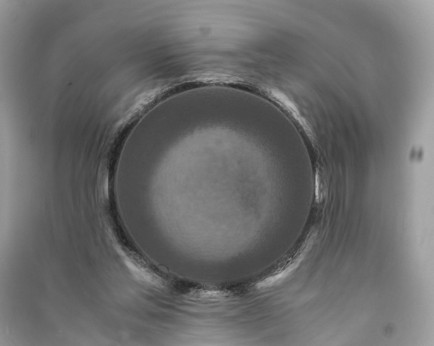 X0000090990205200708091526