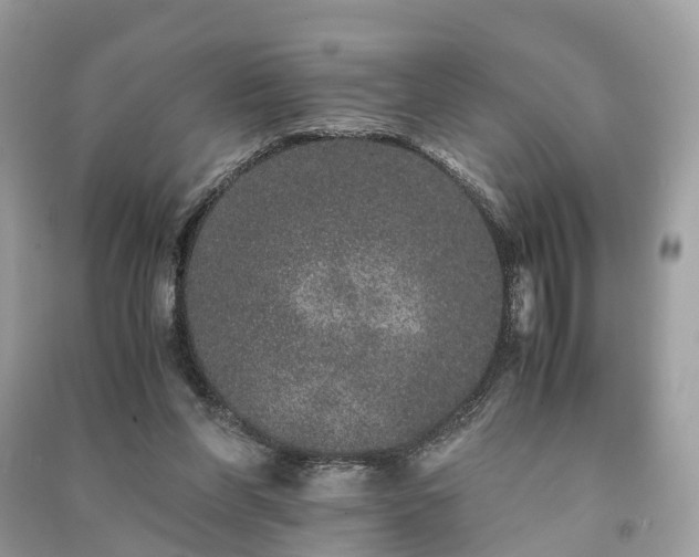 X0000090990206200708091526