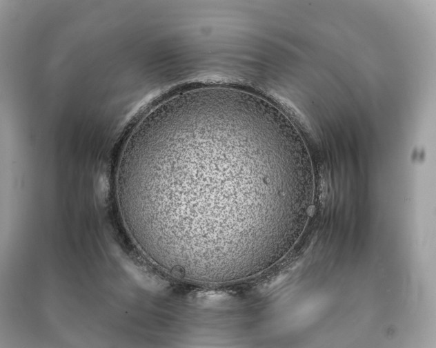 X0000090990208200708091526