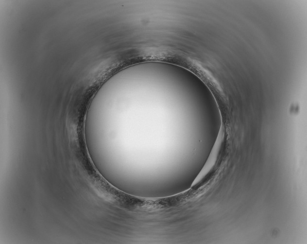 X0000090990209200708091526