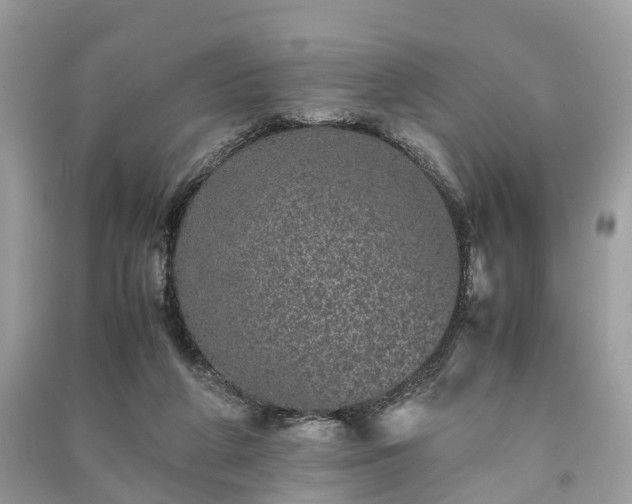 X0000090990210200708091526