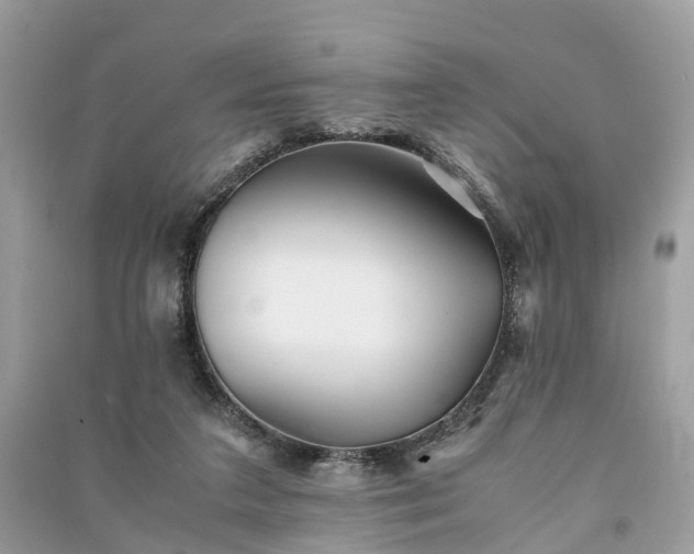 X0000090990211200708091526