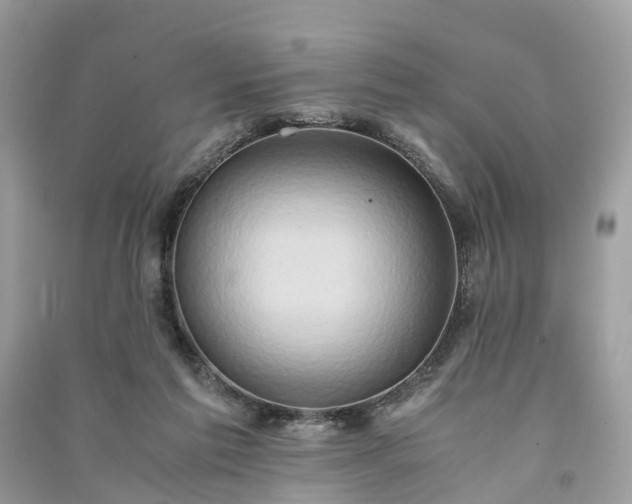 X0000090990213200708091526