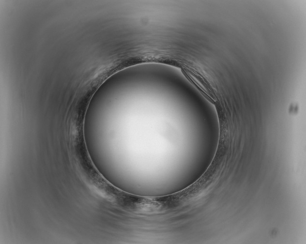 X0000090990215200708091526