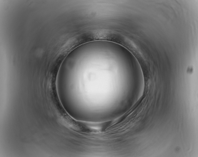 X0000090990217200708091526