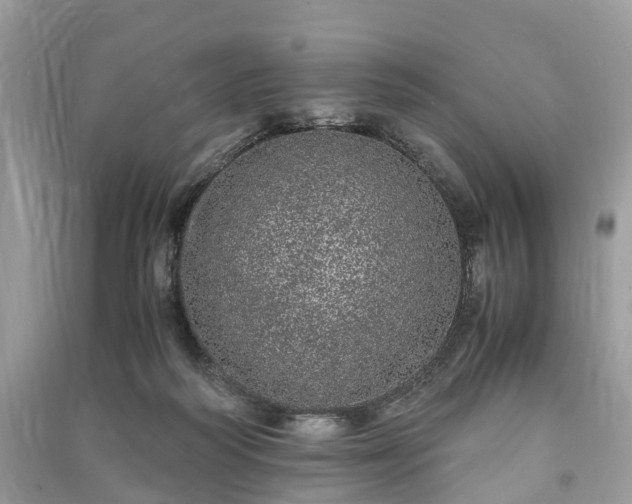 X0000090990218200708091526