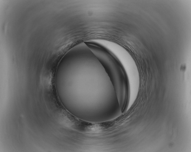 X0000090990219200708091526