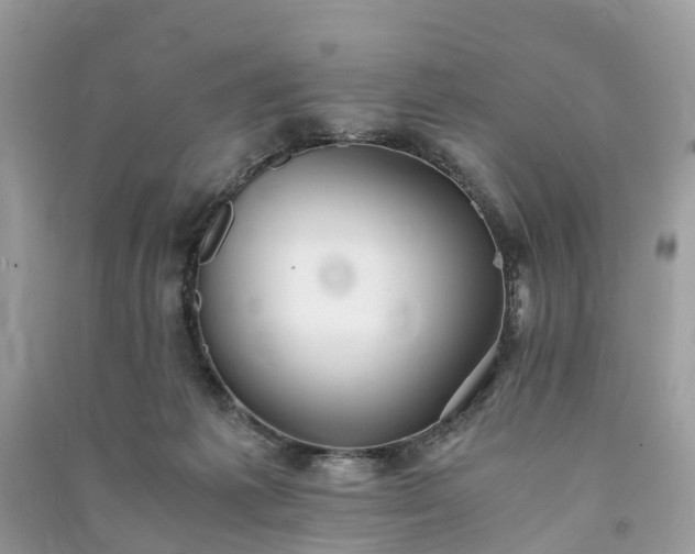 X0000090990221200708091526