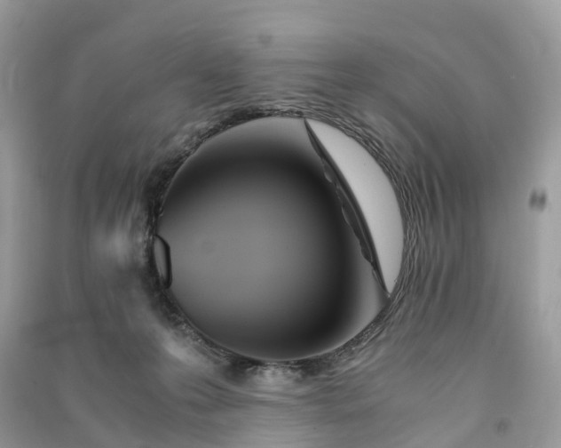 X0000090990223200708091526