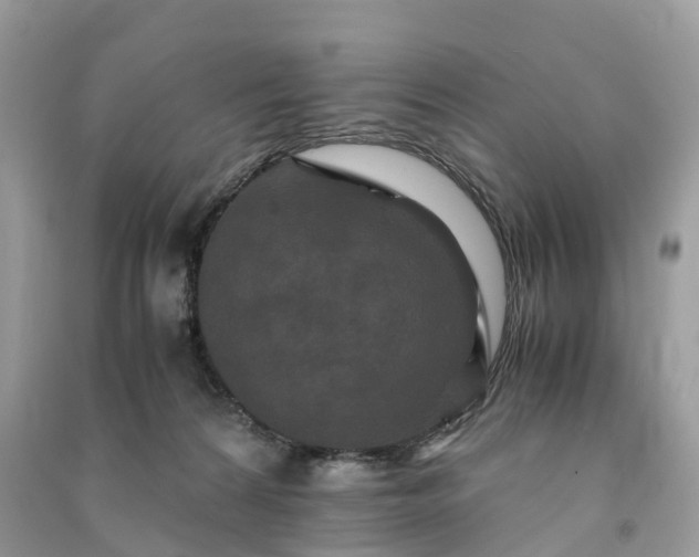 X0000090990224200708091526