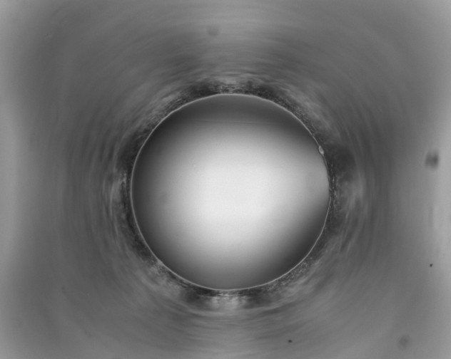 X0000090990225200708091526