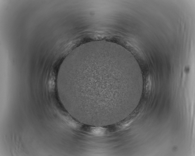 X0000090990226200708091526