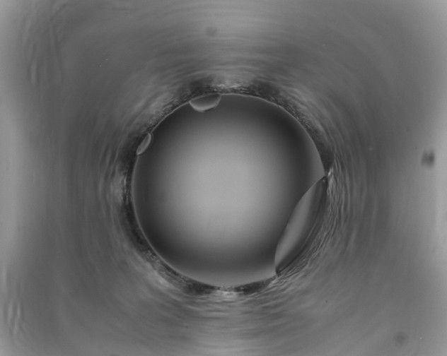 X0000090990227200708091525