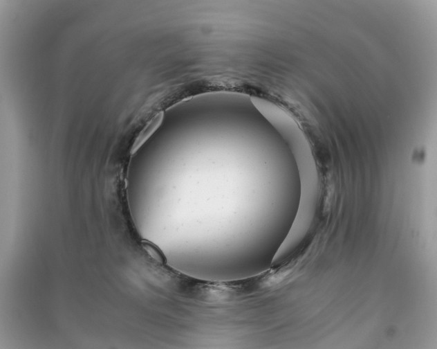 X0000090990229200708091525