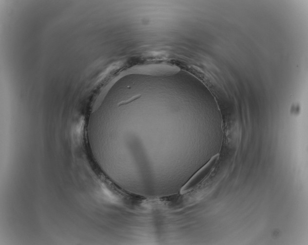 X0000090990231200708091525