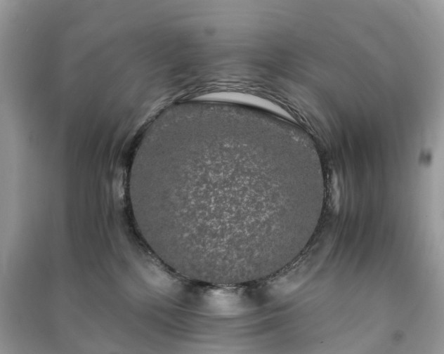 X0000090990232200708091525