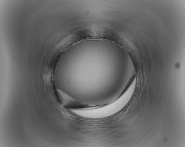 X0000090990233200708091525