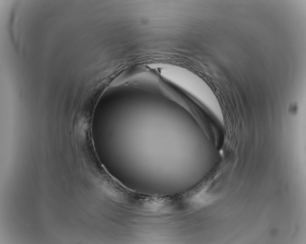 X0000090990235200708091525