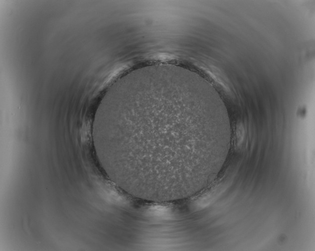 X0000090990236200708091525