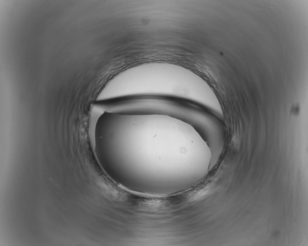 X0000090990237200708091525