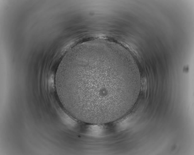 X0000090990238200708091525