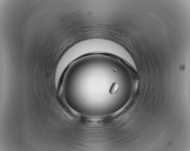 X0000090990239200708091525