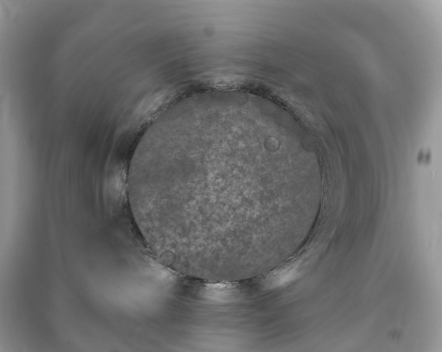 X0000090990240200708091525