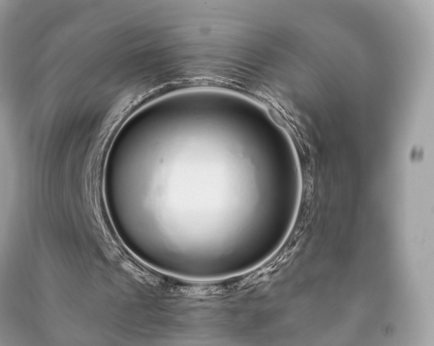 X0000090990241200708091525