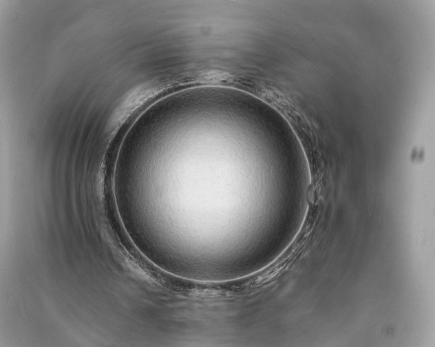 X0000090990242200708091525