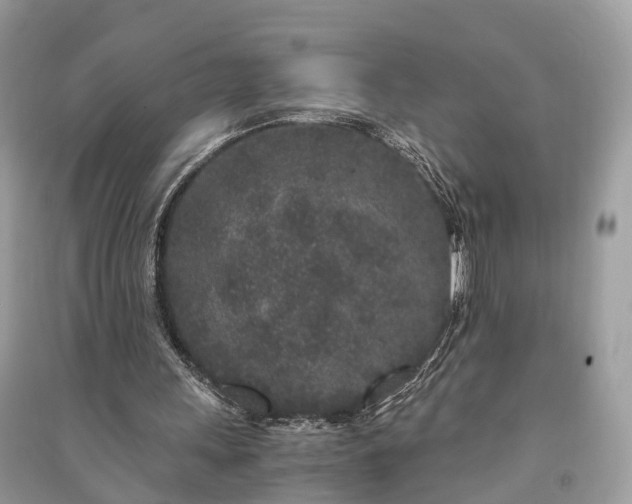 X0000090990243200708091525