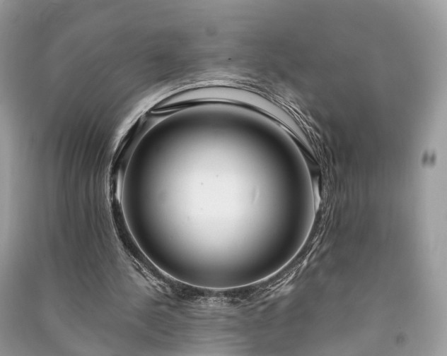 X0000090990244200708091525