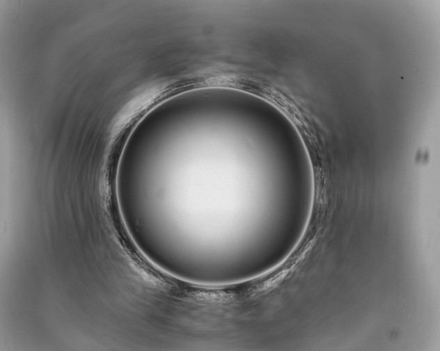 X0000090990245200708091525