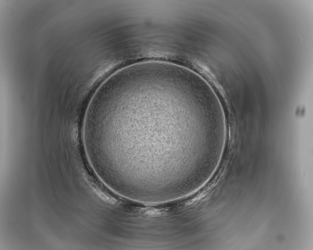 X0000090990249200708091525