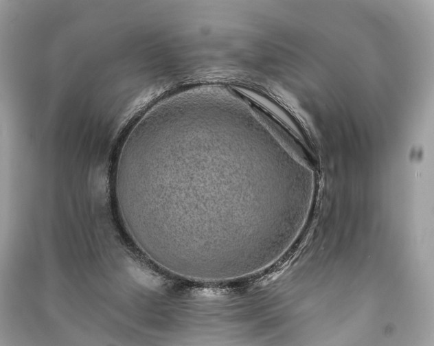 X0000090990250200708091525