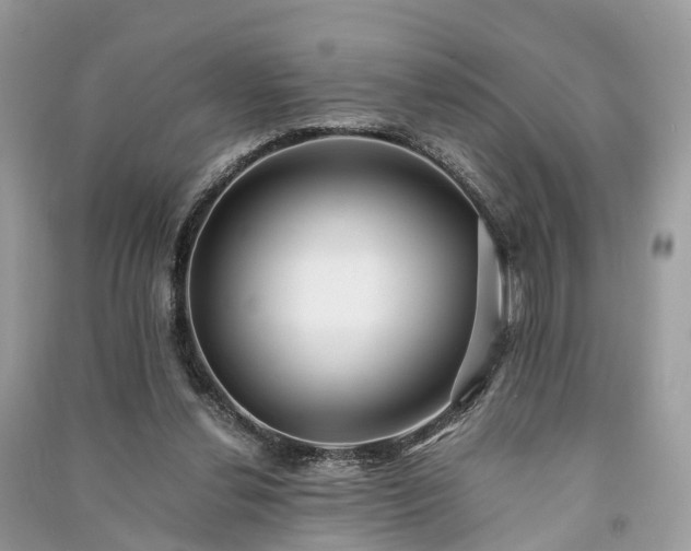 X0000090990252200708091525