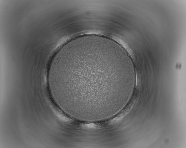 X0000090990253200708091525