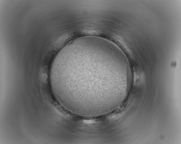 X0000090990259200708091525