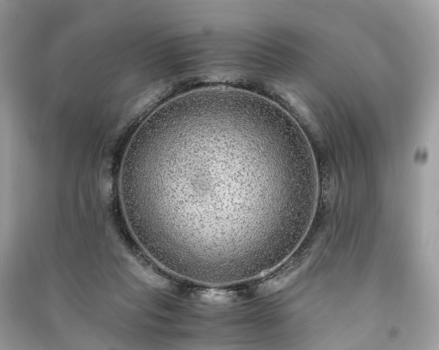 X0000090990261200708091525