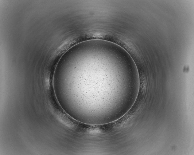 X0000090990262200708091525