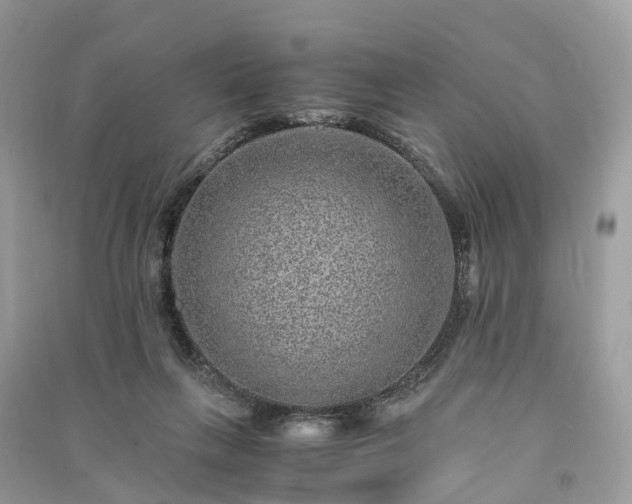 X0000090990263200708091525